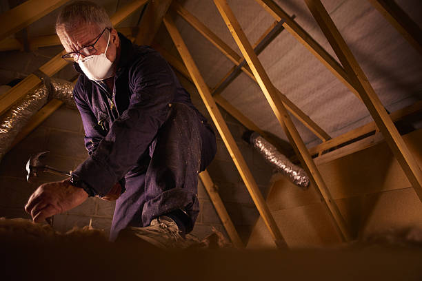 Best Insulation Materials and Products in Boaz, AL